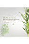 Rosemary Mint Shampoo with Biotin – Strengthening & Nourishing Care for Weak, Brittle Hair - 8