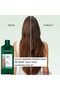 Purifying Shampoo - Oily Hair / Purete - Sls, Sles-Free, Vegan - 300 ml - 3