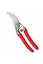 Professional Pruning Shears - 2