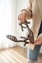 Anjely Brown (3 cm Heeled) Caged Short Heeled Sandals with Gold Buckle Detail for Night and Daily Use - 2