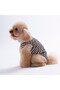 Sunrise Embroline T-Shirt Cat Dog Tee-Cat Dog Outfit - 2