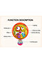 Musical Stroller Hanging Rattle Toy for Babies - 6