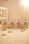 دفتر ملاحظات من سلسلة Butterbear المرخصة مقاس A5، بتصميم صفحات مسطرة، مقاس 21 سم - 4