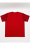 Large Size Cotton Comfortable Fit Daily Use Crew Neck Men's T-Shirt - 2