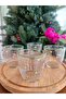 Ravenna Little Bloom Set of 4 Water Glasses - Green - 295 ml