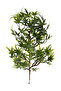 Artificial Plant 3-Branch Premium Aralia Bunch 35 cm Dark Green - 3