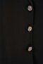 Women's Classic Collar Regular Waist Buttoned Viscose Black Double Suit - 5