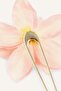 Women's Floral Pink Hair Accessory I0005Axns - 3