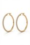 Gold Color Zircon Stone Hoop Model Women's Earrings - 2