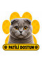 My Clawed Friend Scottish Fold Cat Sticker |   15X15 cm Self-Adhesive Foil