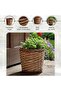 Alexis Willow Planter Dia34xh32cm - Natural - 5