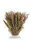 Pampas Grass Bouquet In Ceramic Vase H30cm - White - 6