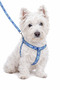 Adjustable Scarf, Chest Harness and Travel Strap Set of 3 - 5