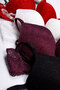 Women's Underwire Padded Lace 4-Piece Bra Set - 3
