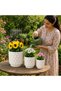 Set of 3 Textured Plant Pots with Modern Minimalist Design for Indoor & Outdoor Use Decorative Flower Pots for Home, Office, Balcony, Patio & Garden White - 4
