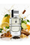 Exotique Extrait de Parfum 100ml – Luxury Long-Lasting Unisex Fragrance