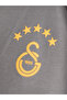 Galatasaray Puma Evostripe Zipper Hooded Sweatshirt 78682113 - 3