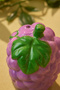 Grape Patterned Salt and Pepper Shakers 7 cm - 3