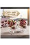 Ice Cream Container 2-Pack Glass New Concept Line Model with Stand Lover Ice Cream Container 220 ml Volume 11 cm Length - 3
