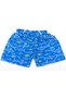 Multicolored Boys' Sea Shorts Swimsuit