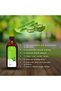 Essential Oils for Hair and Skin Care Aloe Vera Oil - 150ml - 3