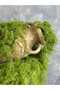 Artificial Moss 25 Gr Decorative Green Moss - 3