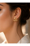 Snake Model Zircon Earrings - 2