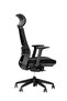 High Back Mesh Office Chair with Back Support and Fixed Headrest, Breathable Design for Long Use, Height Adjustable with Tilt and Lock, Grade 3 Gas Lift, Fiberglass Base - 2