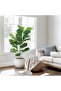 Artificial Tree,3-Stem Fiddle Leaf Banyan Tree (100cm h) - Easy-Assembly Faux Banyan Plant with Woven Planter, Lifelike Leaves, Zero-Maintenance Decor for Home & Office - 8