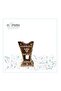 Ha'il Incense Burner Large Nail - 2