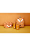 Bidon 350 ml - Fox - 4
