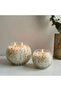 New In Alvea (320G) Harmony Pine & Eucalyptus Jar Candle - 3
