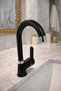 Black Luxury Bathroom Sink Faucet - Brass Body with Dual Water Inlets - 3