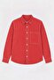 Pomegranate Flower Boxy Fit Men's Shirt