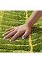 Non-slip bath mat, fluffy microfiber bathroom rug, water-absorbent, machine washable, leaf-shaped rug, kitchen rug, doormat, 40 x 60 cm - 5