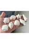 8-Piece Sea Shells Star Mussel Oyster, Sea-Themed Silicone Mold K-1587, Stone Powder Gypsum Candle Soap Mold - 5