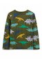 Gap Baby Boy Dinosaur Printed Crew Neck Long Sleeve T-Shirt 0-6 Years Green - 3