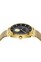 Men's Gold Stainless Steel Watch, Grey Dial | Trn-Ss45g - 2