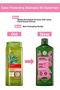 Sulfate-Free and Vegan Color Protecting Shampoo for Colored Hair - 2