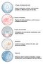 Blush Lipstick Eyeshadow Glow Tint Deep Red |   Moisturizing Makeup |   Red |   Hyaluronic Acid Peptide - 7
