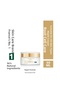 Night Cream-Shea&E Vitamin-Anti-Aging Plant Stem Cell Care Anti Age Global