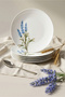 Lavender 6 Piece Porcelain Cake Plate - 5