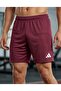 Men's Daily Sports Training Shorts
