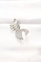 Brass Silver Color Earrings - Lisinya - 2