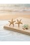 Starfish Earrings Lightweight Summer Stylish Earrings - 2