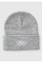 Boy's Gray Melange Pr. Looney Tunes Embroidered Beanie - 2