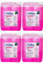 Liquid Soap Spring 5 L * Pack of 4 - 3