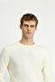 Crew Neck Regular Fit Wool Knitted Sweater - 4
