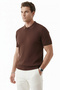 Brown Polo Collar Knitwear T-Shirt Comfortable Fit Men's Knitwear T-Shirt 2608108 - 4