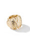 Serena Cartilage Earrings